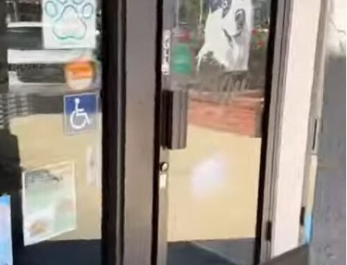 Lucky dog Coffee in Simi Valley