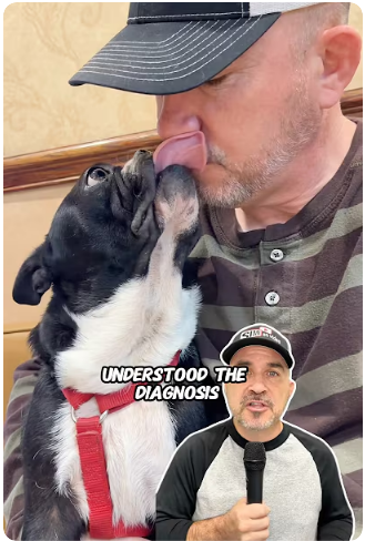 Valley Veterinary Clinic: Trusted Pet Care in Simi Valley | Steve Hise